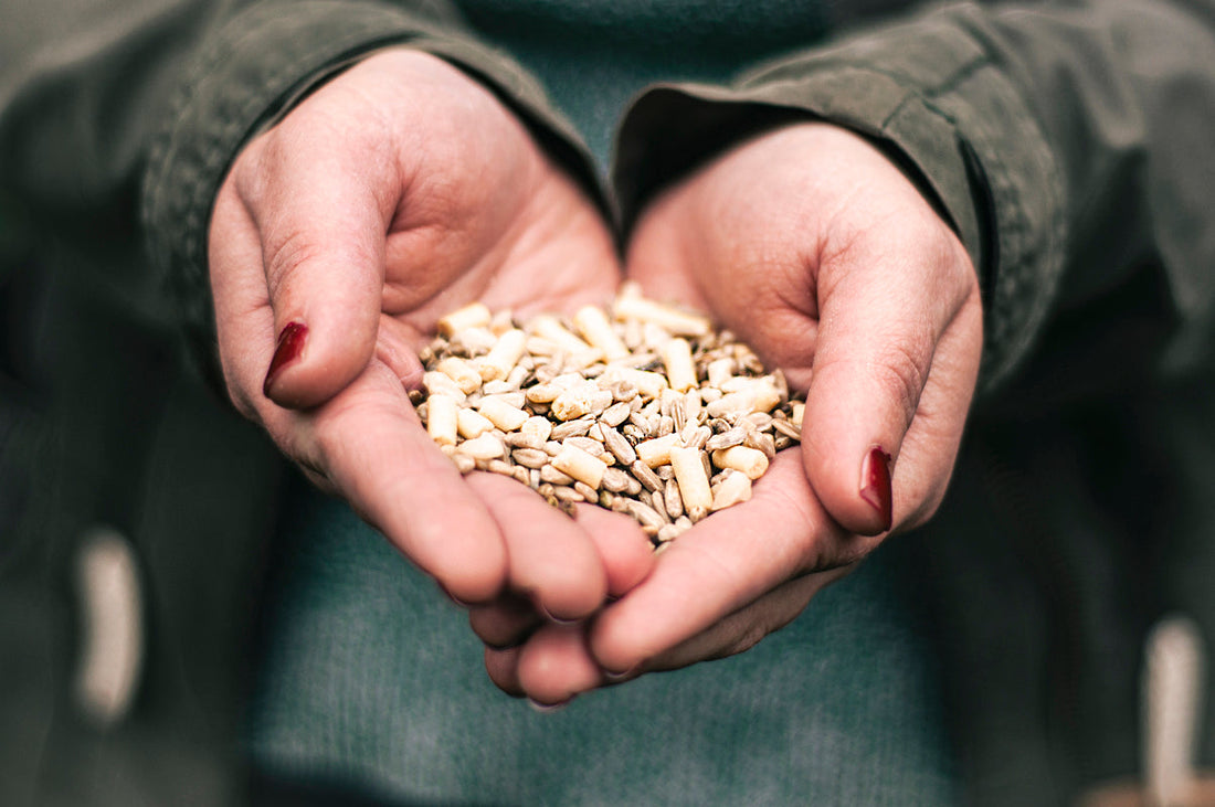 Why we don't add vitamins and preservatives to our bird food blends
