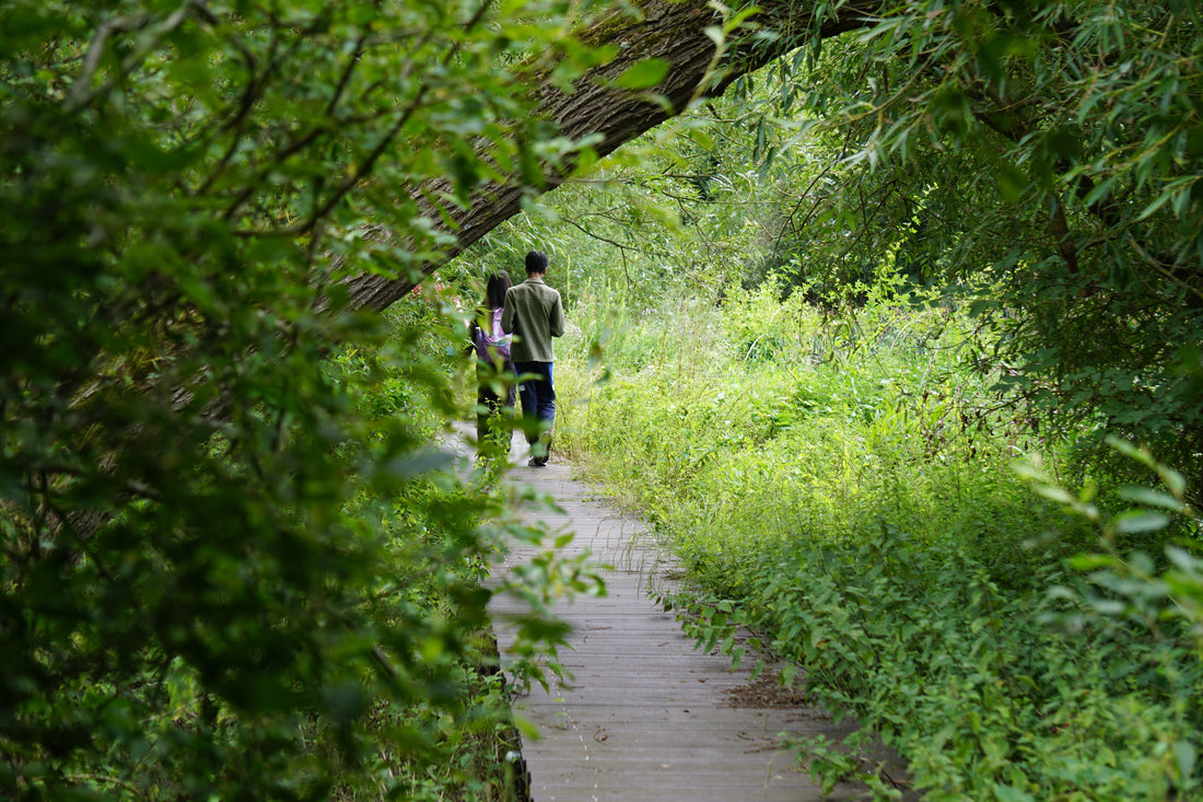 News | A Little Bird Co. partners with London Wildlife Trust to support urban wildlife