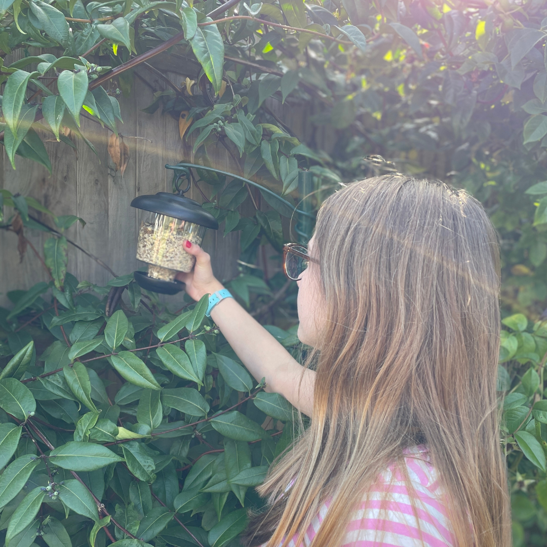 Start something meaningful: Introducing Our Bird Feeding Kits