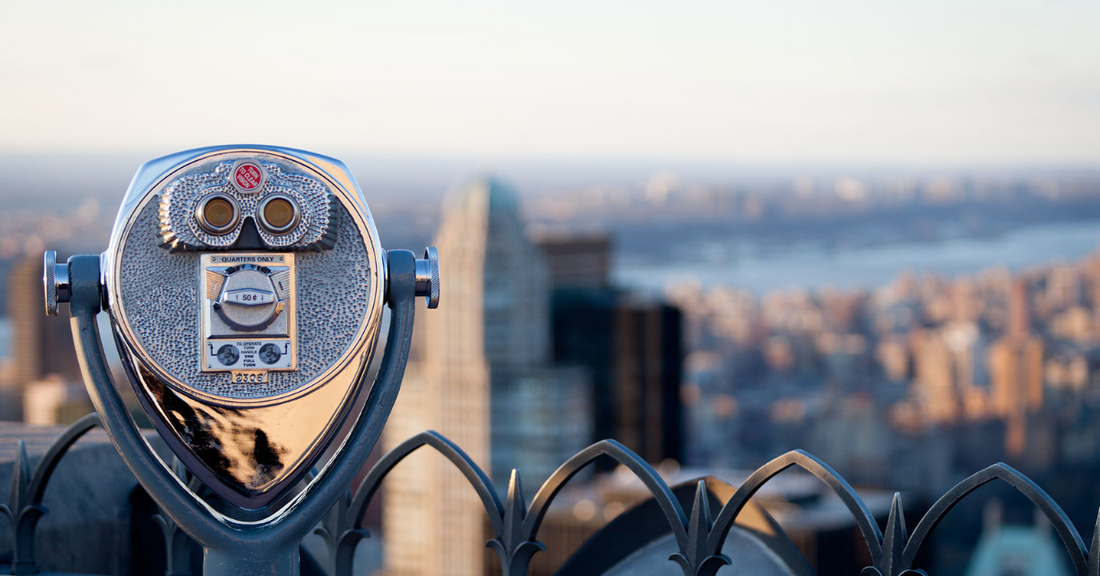 Binocular Basics 1: How to choose birdwatching binoculars