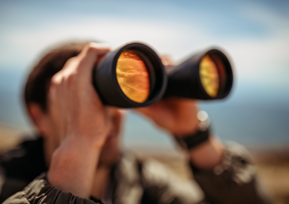 Binocular Basics 1: How to choose birdwatching binoculars