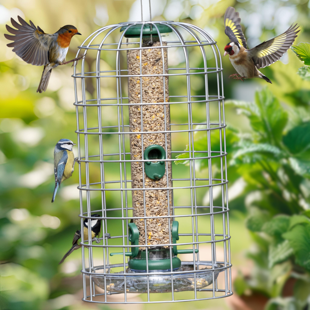 Starling-Proof Bird Feeder Guardian Set