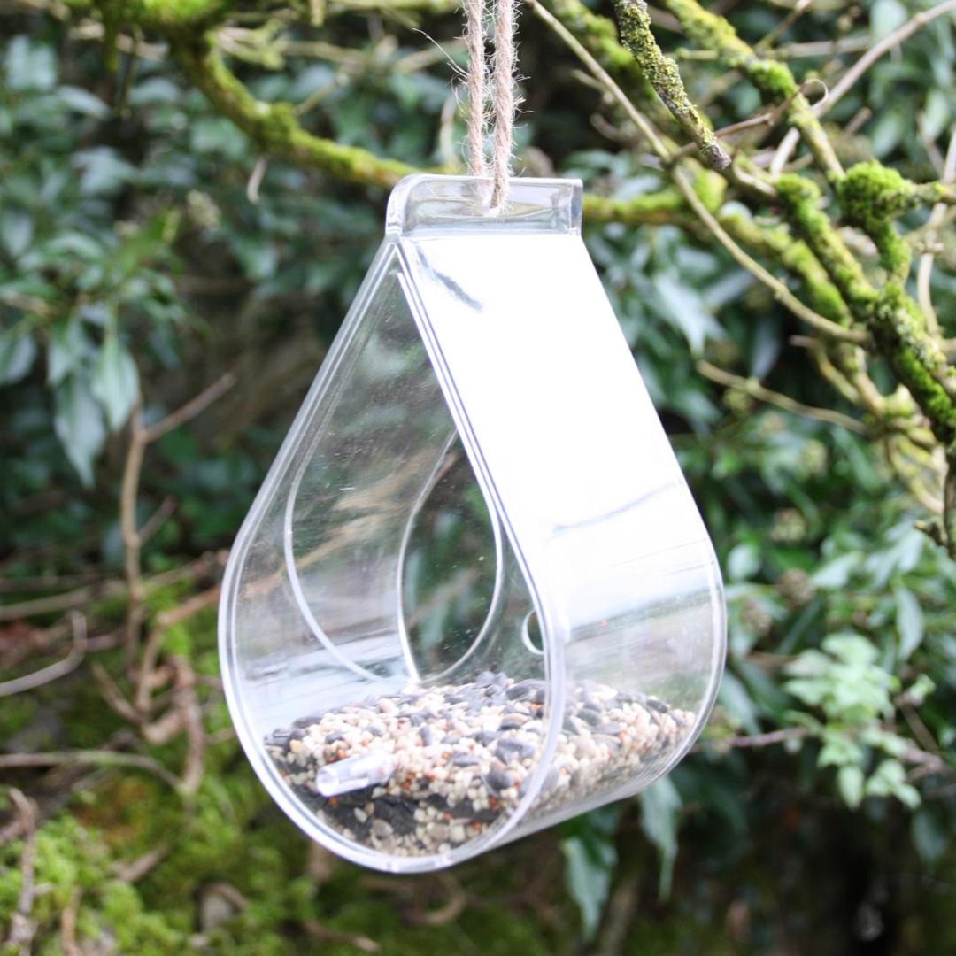 Window Bird Feeder