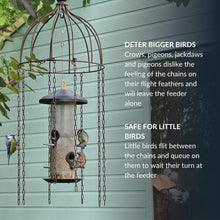 Simon King Medusa Defender for Hanging Bird Feeders