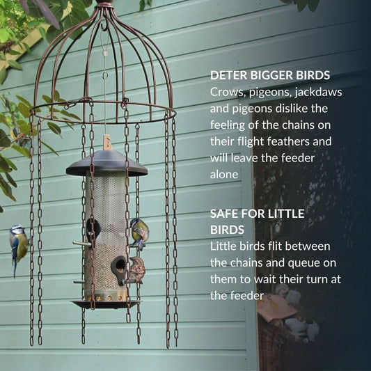 Simon King Medusa Defender for Hanging Bird Feeders