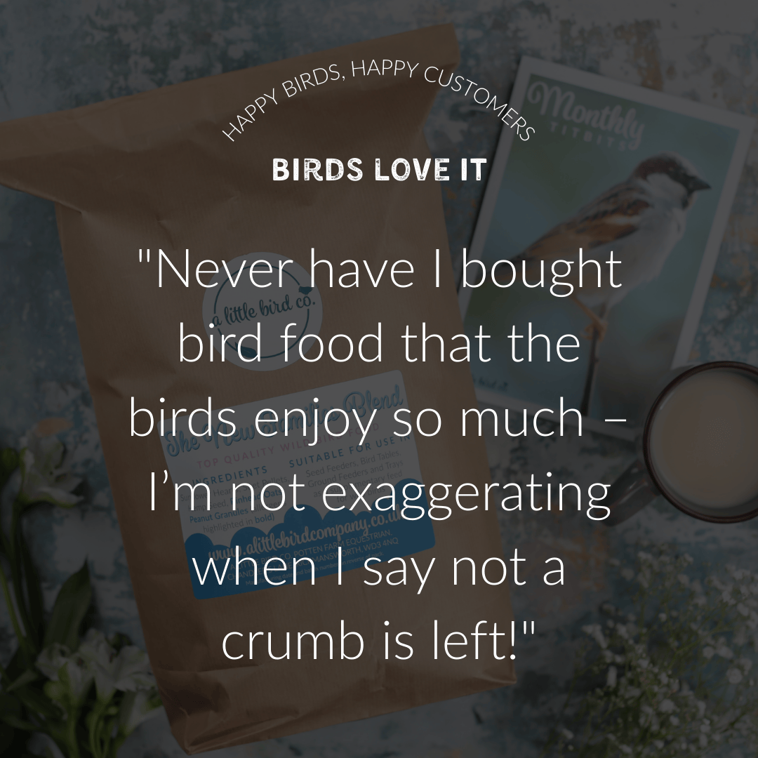 A Little Bird Co. Seasonal Bird Food | Subscription | One Time Purchase