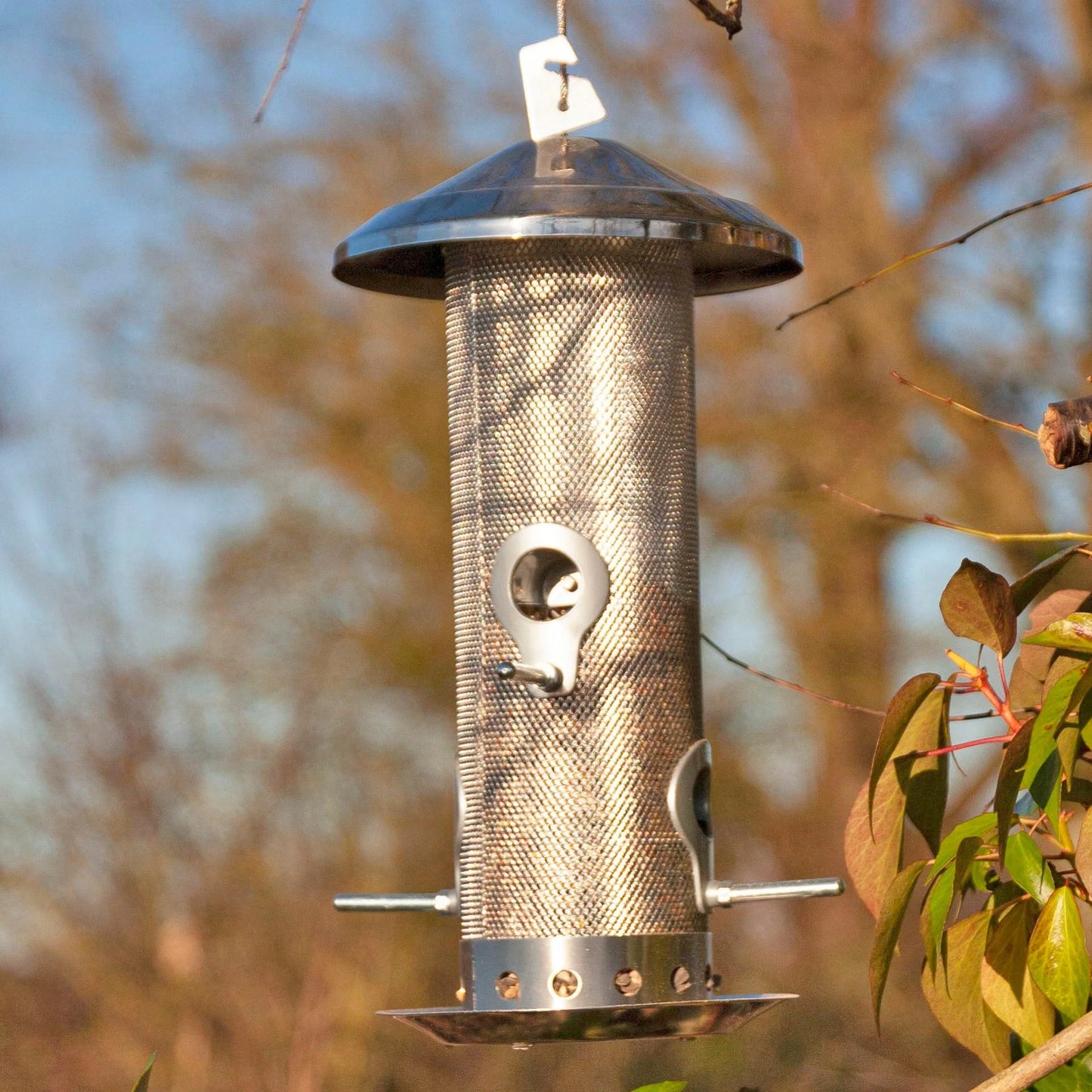 A stainless steel bird feeder with rain guard and squirrel proof clip to keep the lid closed.