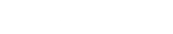 A Little Bird Company