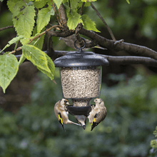Bird feeder for finches