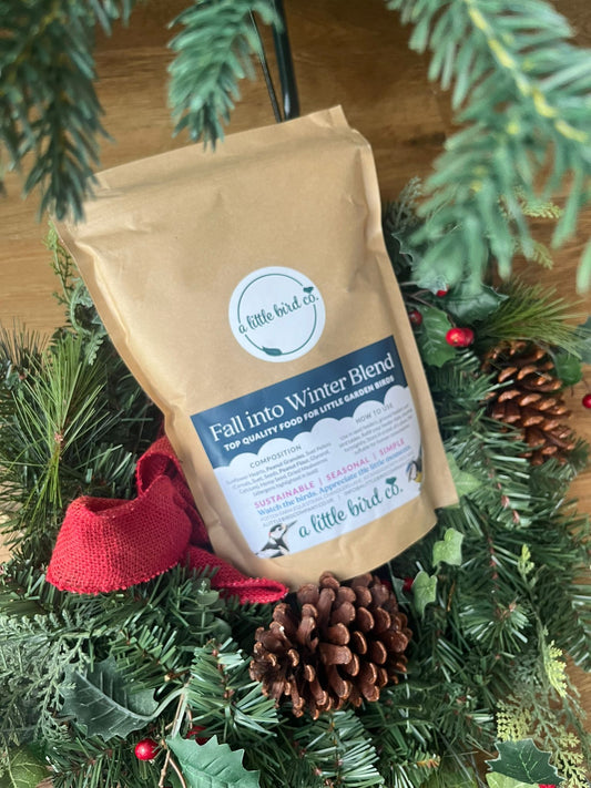 Sustainable Gifting: All about our prepaid bird food gift subscription