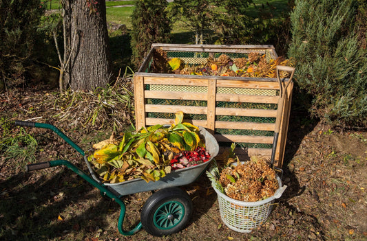 How to make compost and attract wildlife to your garden