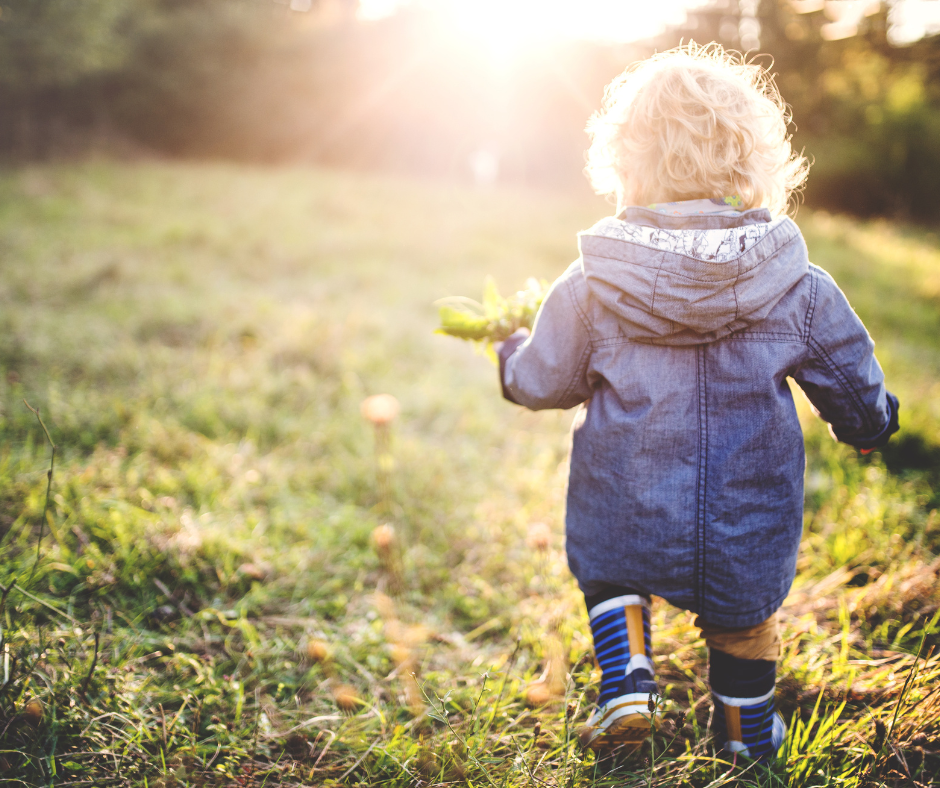 Autumn nature quest: 7 fun outdoor challenges for kids this half term
