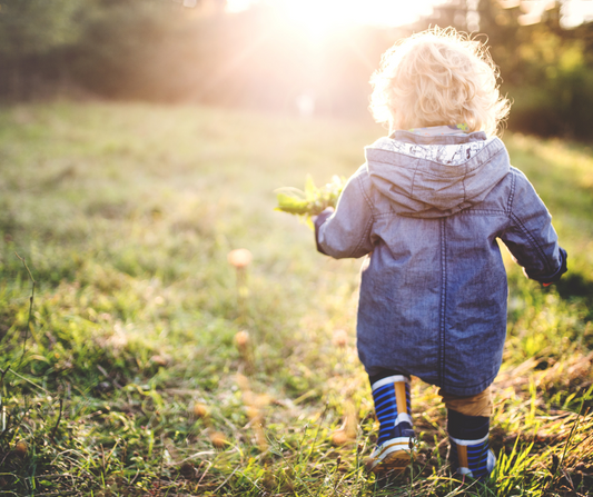 Autumn nature quest: 7 fun outdoor challenges for kids this half term