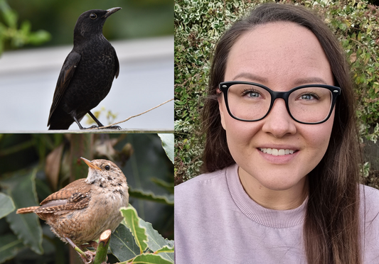 The Birds in the Garden