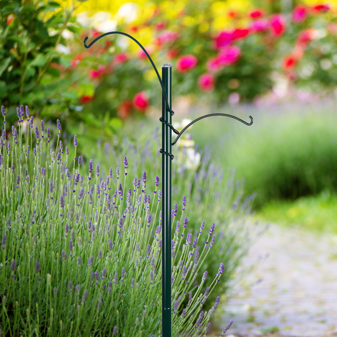 Garden Feeding Stations