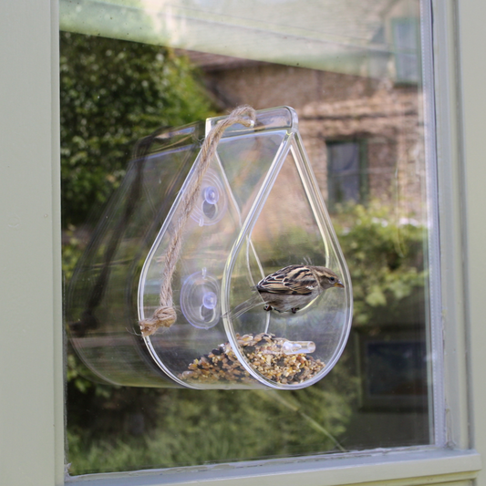 Window Bird Feeder