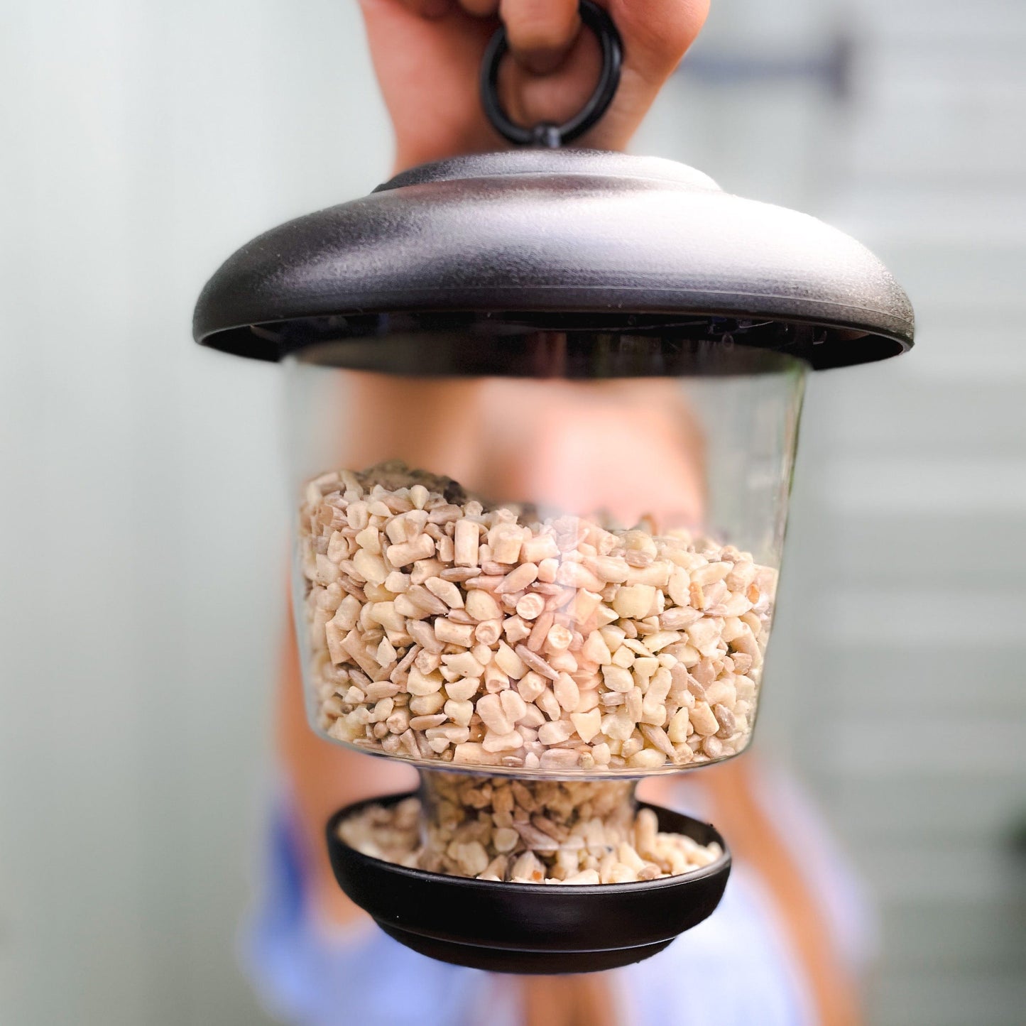 Little Lantern Seed Feeder