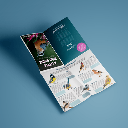 A Little Bird Guide | Garden Bird Spotting Chart (A3 Foldable)