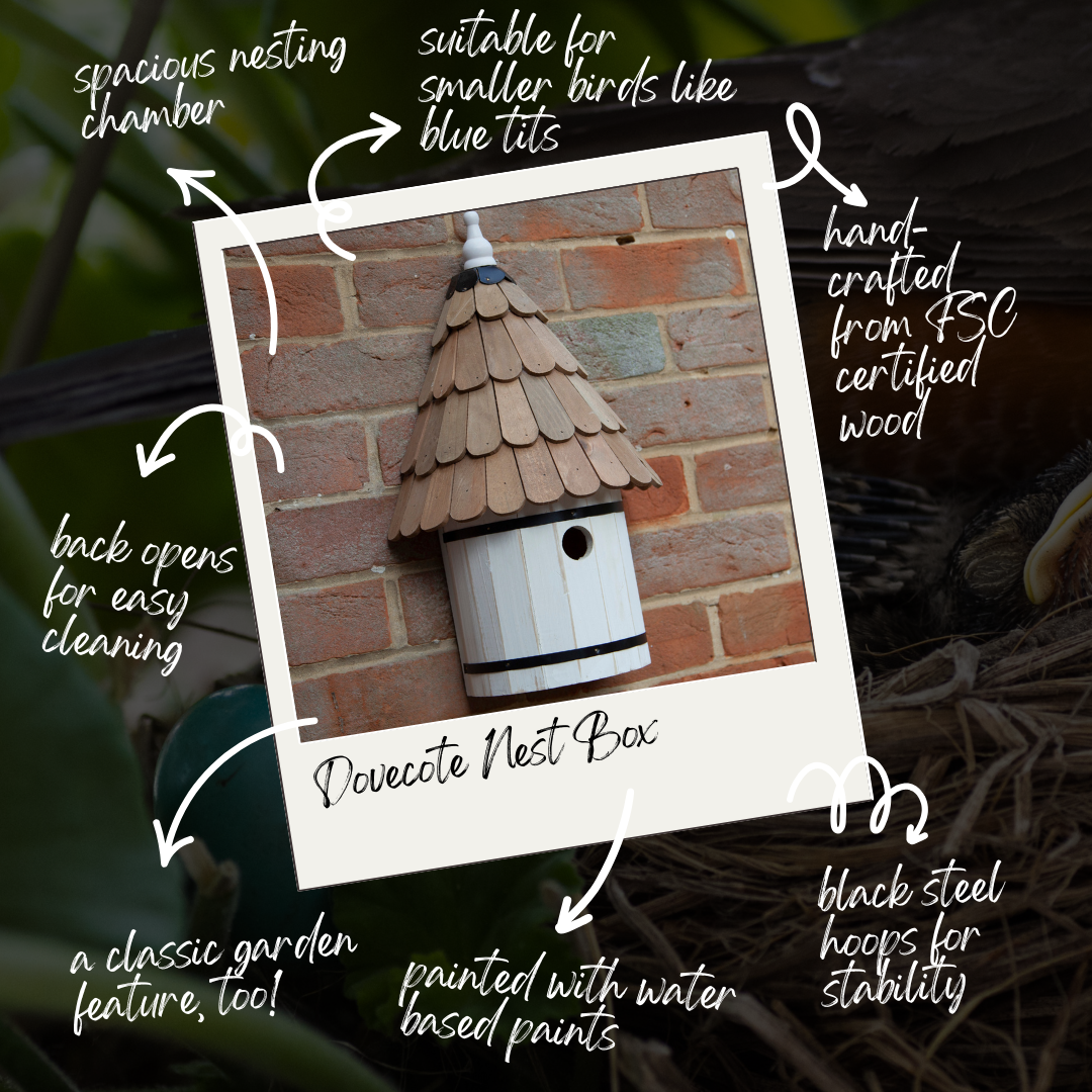 Dovecote Nest box