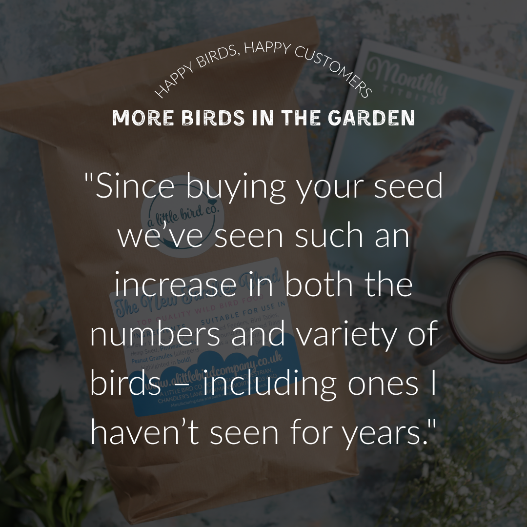A Little Bird Co. Seasonal Bird Food | Subscription | One Time Purchase