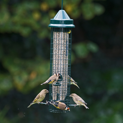 Squirrel proof bird feeder