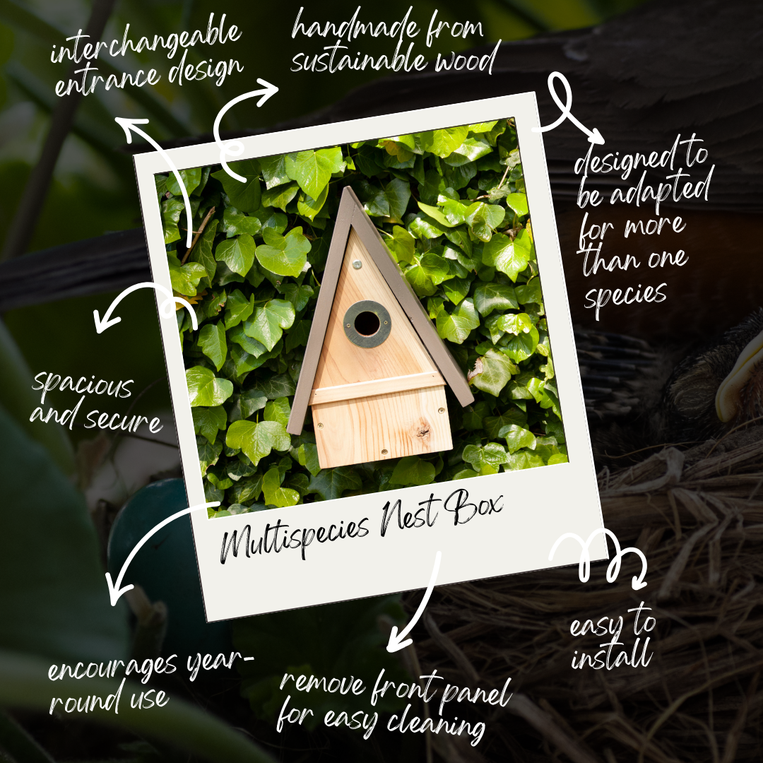 Nest box for robins