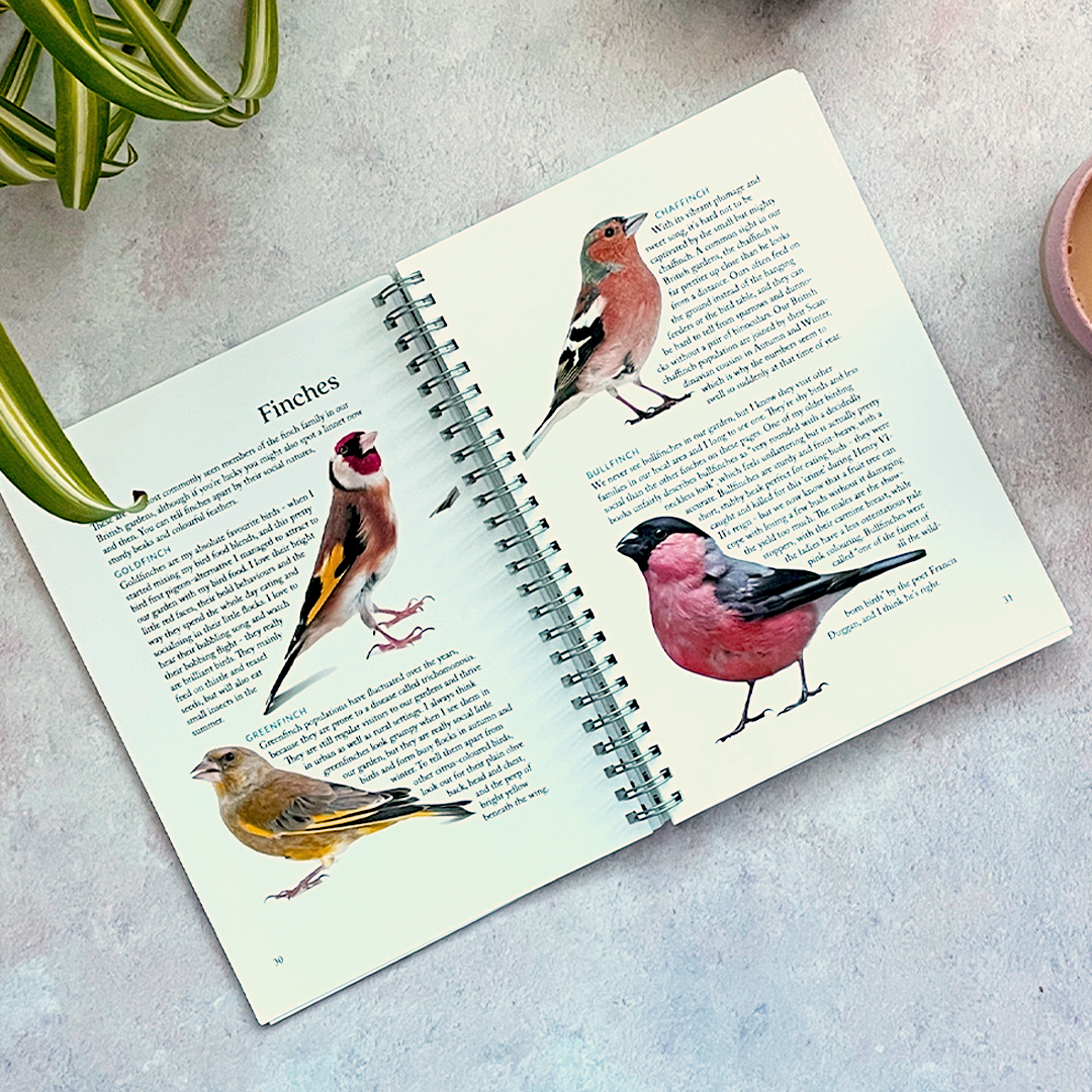 Garden birdwatching journal
