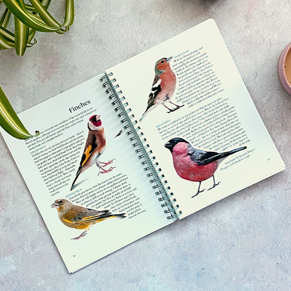 Garden birdwatching journal