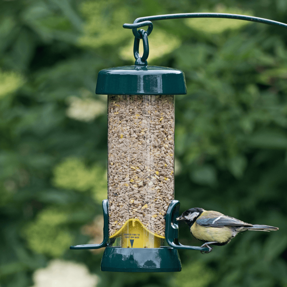 BigEasy™ Hygienic Easy to Clean Bird Feeder