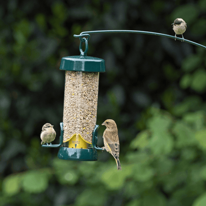 BigEasy™ Hygienic Easy to Clean Bird Feeder
