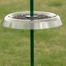 Giant Squirrel Resistant Seed Tray