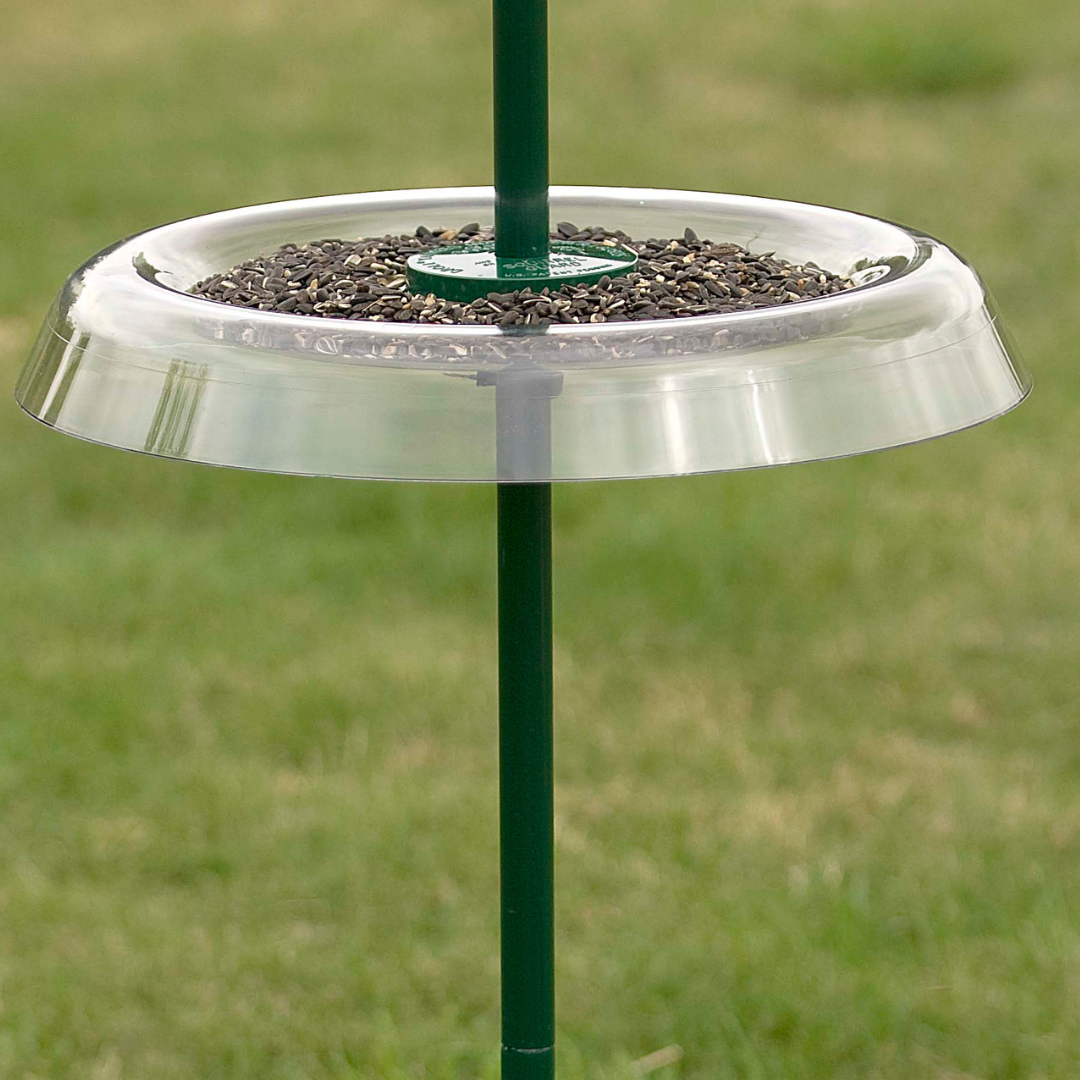 Giant Squirrel Resistant Seed Tray