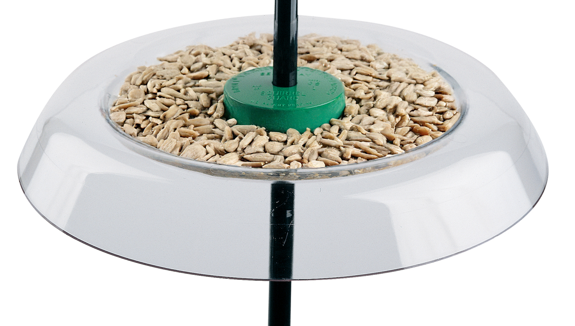 Giant Squirrel Resistant Seed Tray