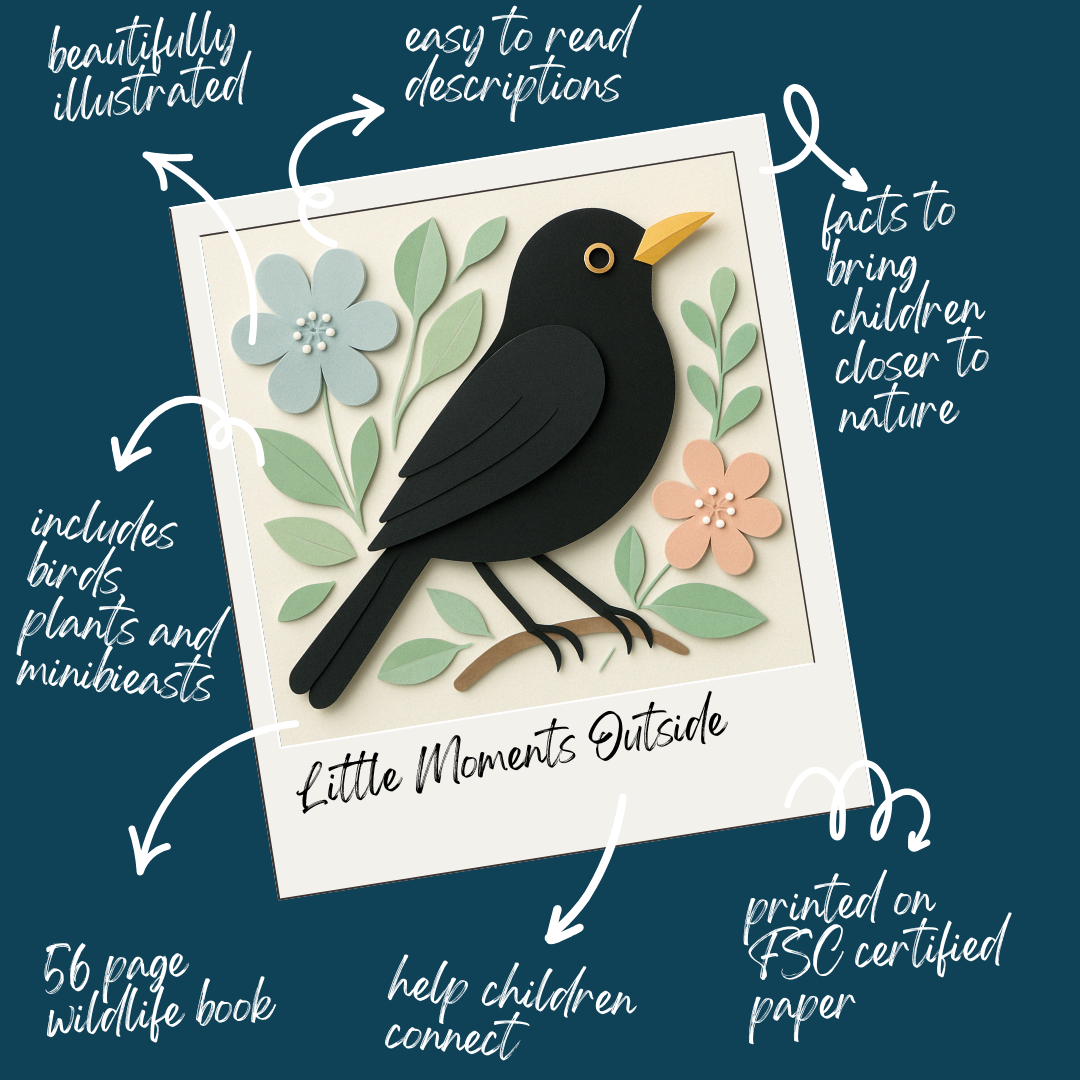 Little Birder Set