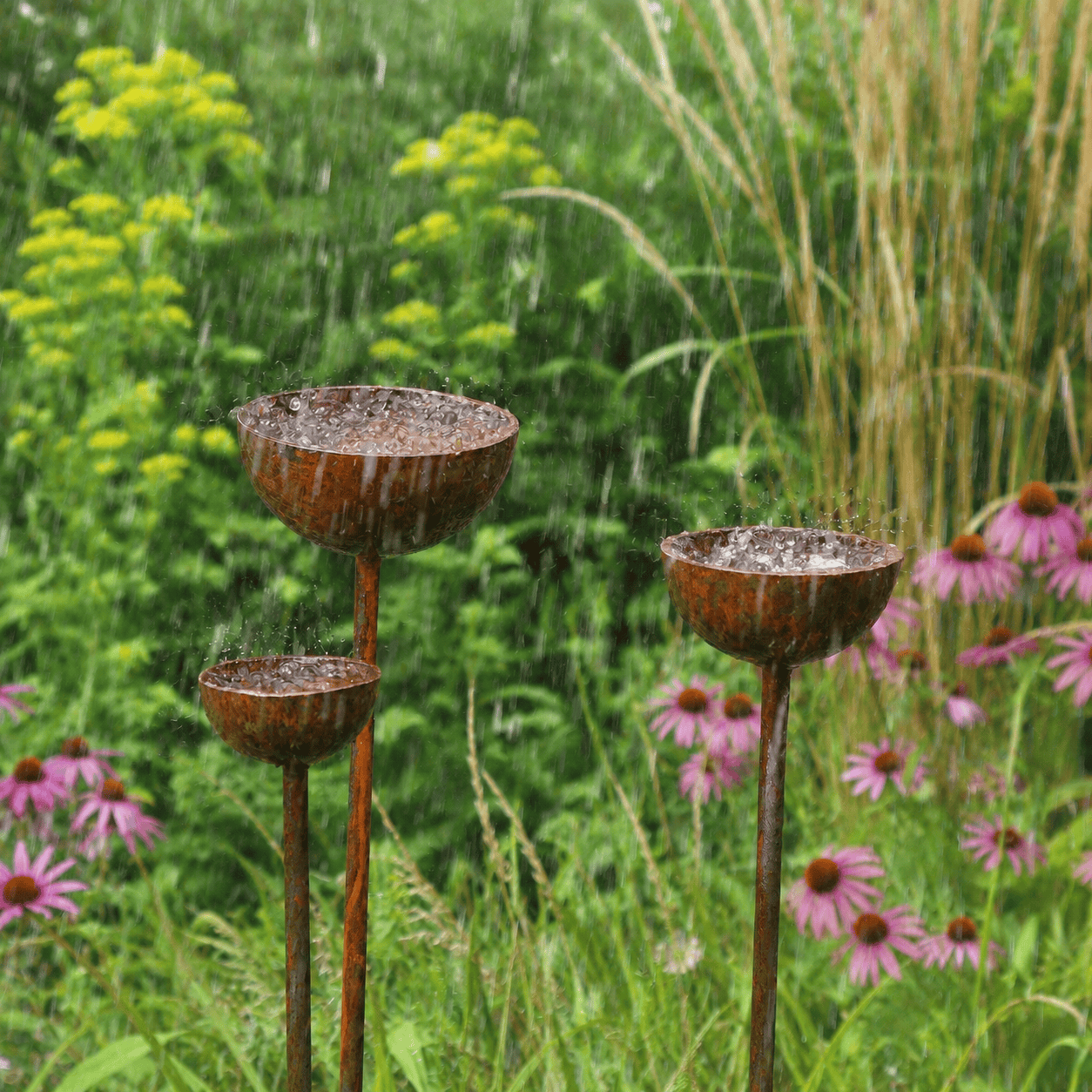 Three rusted metal rain catcher stakes at varying heights with cups full of rainwater, set amongst echinacea and mixed perennials in a summer border