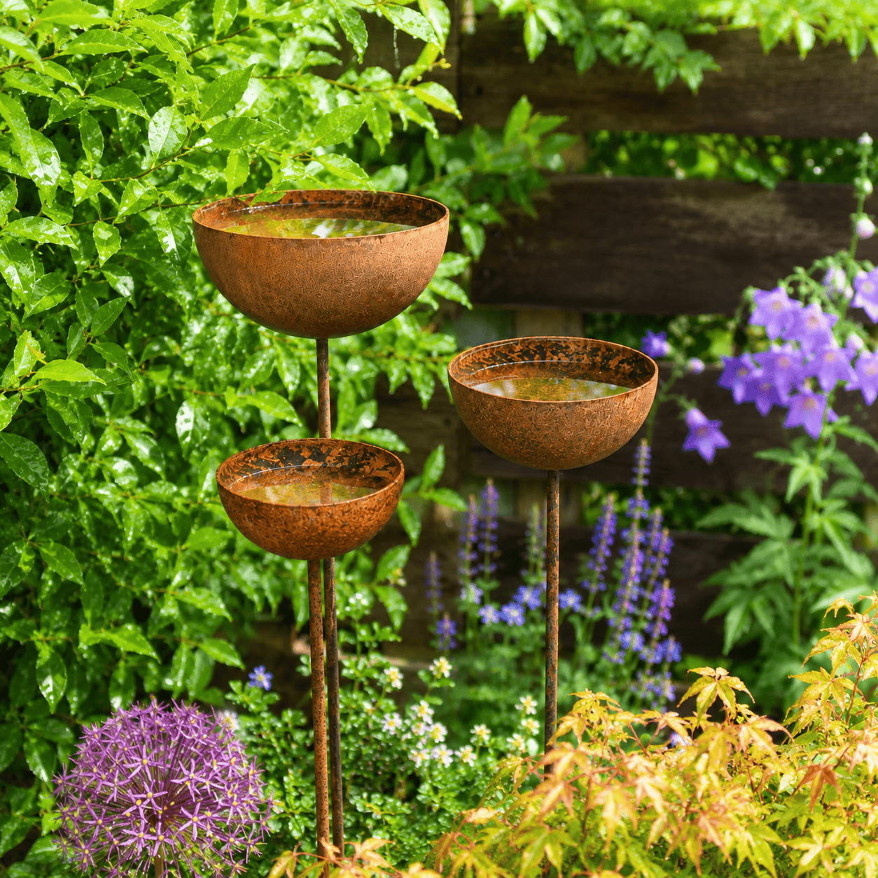 Three rusted metal rain catcher stakes holding water, grouped at different heights in a cottage garden border with alliums.