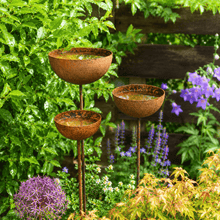 Three rusted metal rain catcher stakes holding water, grouped at different heights in a cottage garden border with alliums.