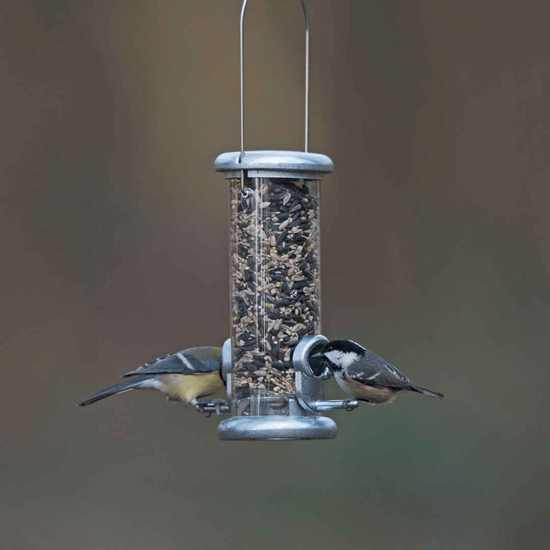 Starling-Proof Bird Feeder Guardian Set