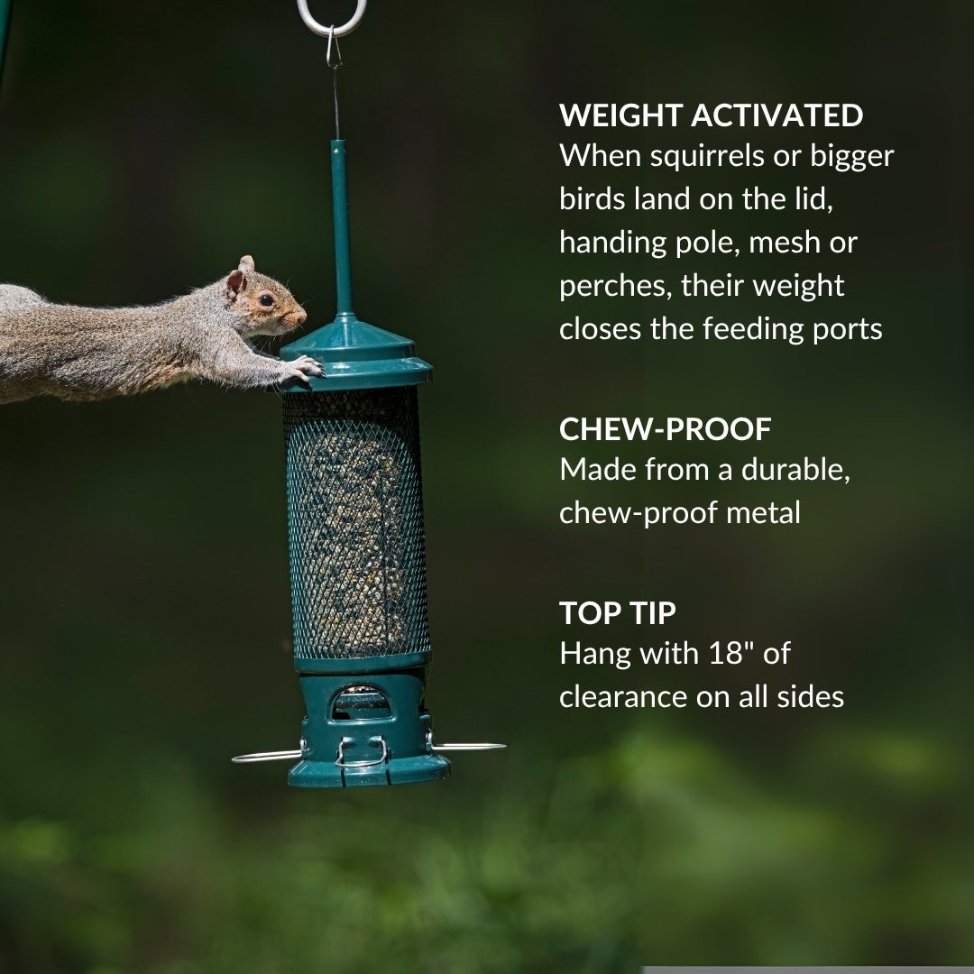 The Squirrel Buster Bird Feeder