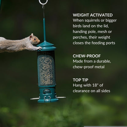 The Squirrel Buster Bird Feeder