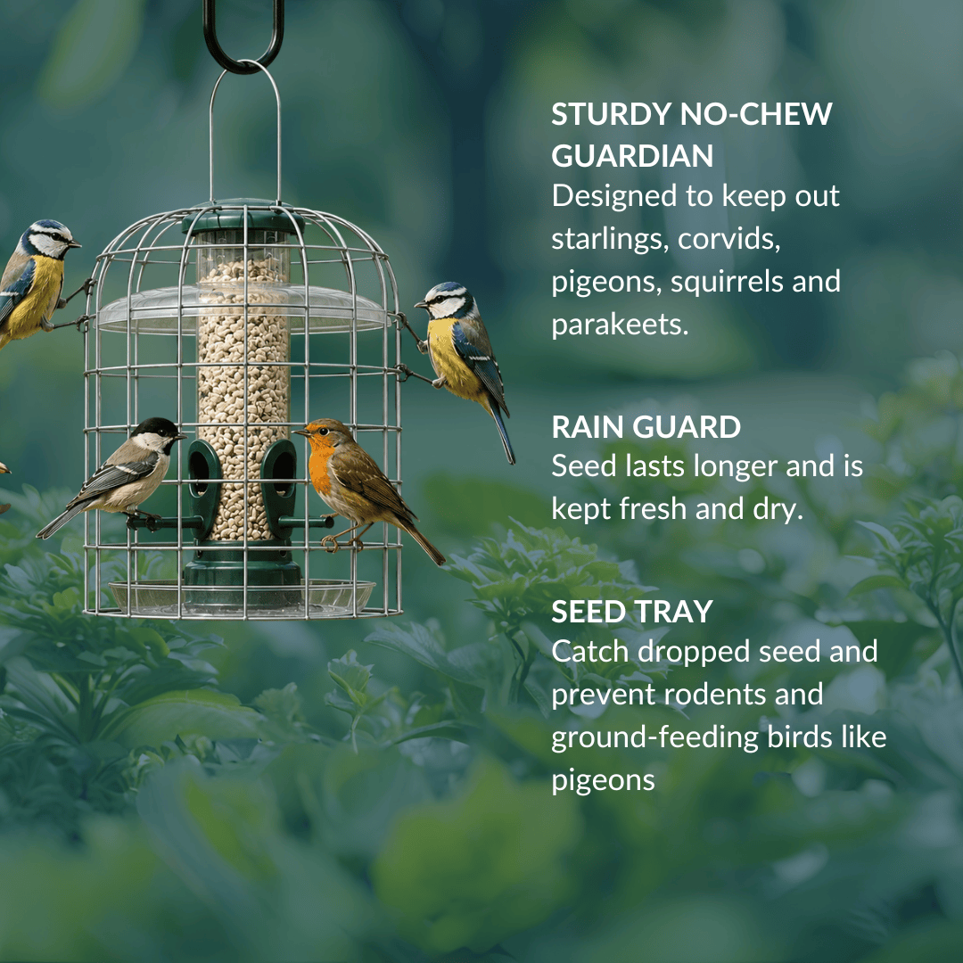 Starling-Proof Bird Feeder Guardian Set