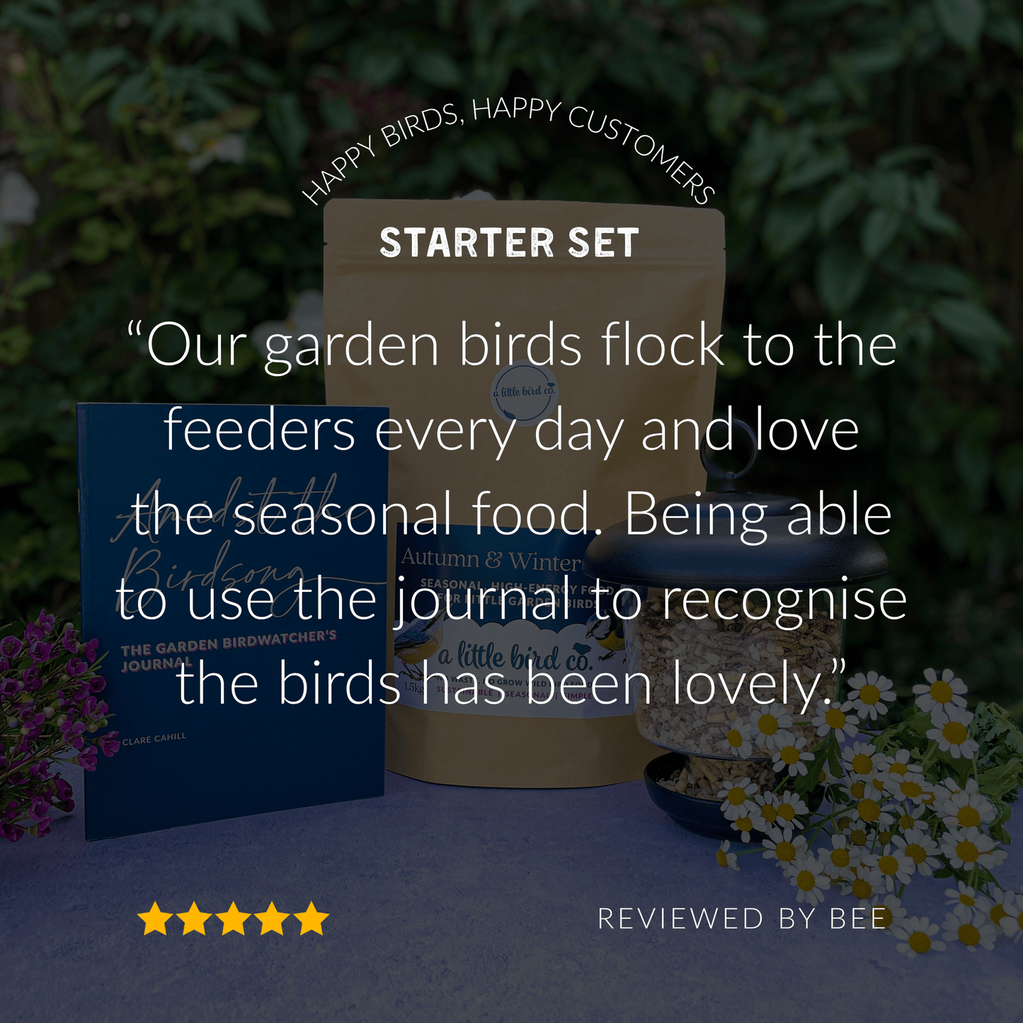 Bird Feeding Starter Set | Bird Feeding Gift for Bird Lovers | A Little Bird Co