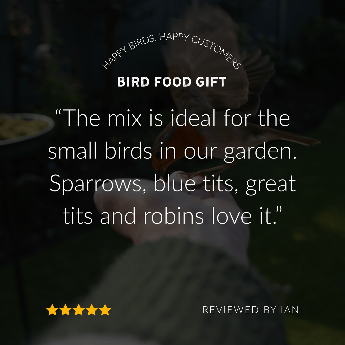 Prepaid Bird Food Gift Subscription | Perfect Gift for Bird Lovers | A Little Bird Co.