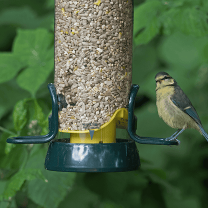 BigEasy™ Hygienic Easy to Clean Bird Feeder