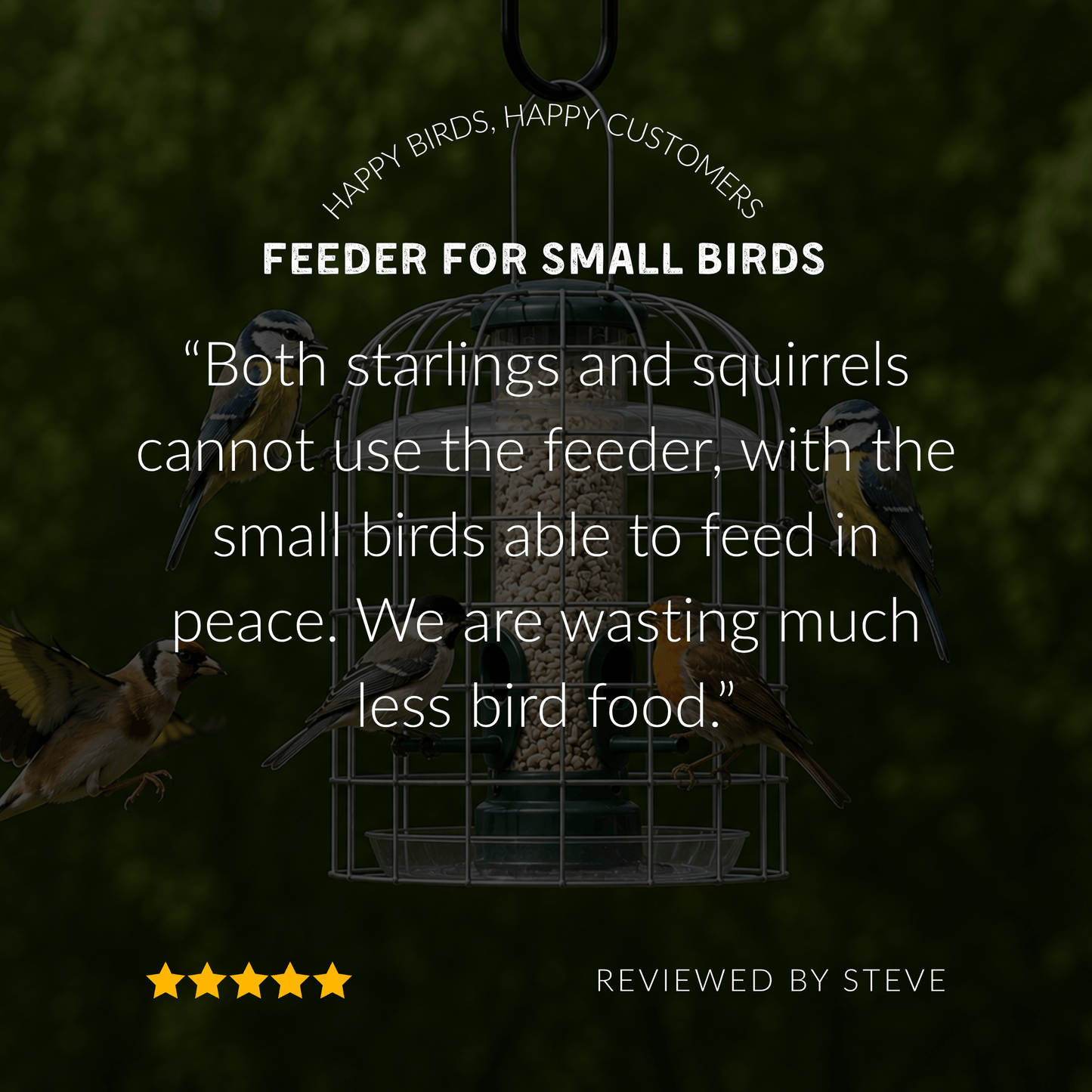 Starling-Proof Bird Feeder Guardian Set