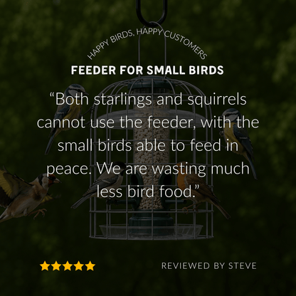 Starling-Proof Bird Feeder Guardian Set