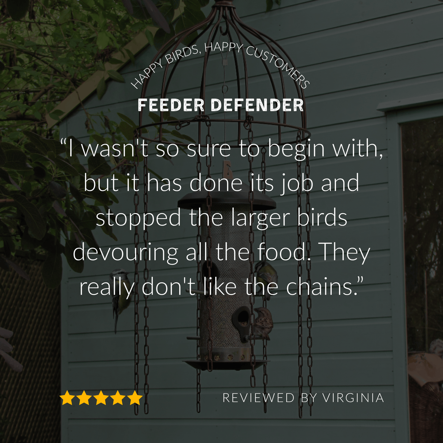 Simon King Medusa Defender for Hanging Bird Feeders