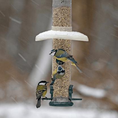 Blue tits and great tits feeding on a bird feeder in a snowstorm with a guard to prevent the snow from getting to them.