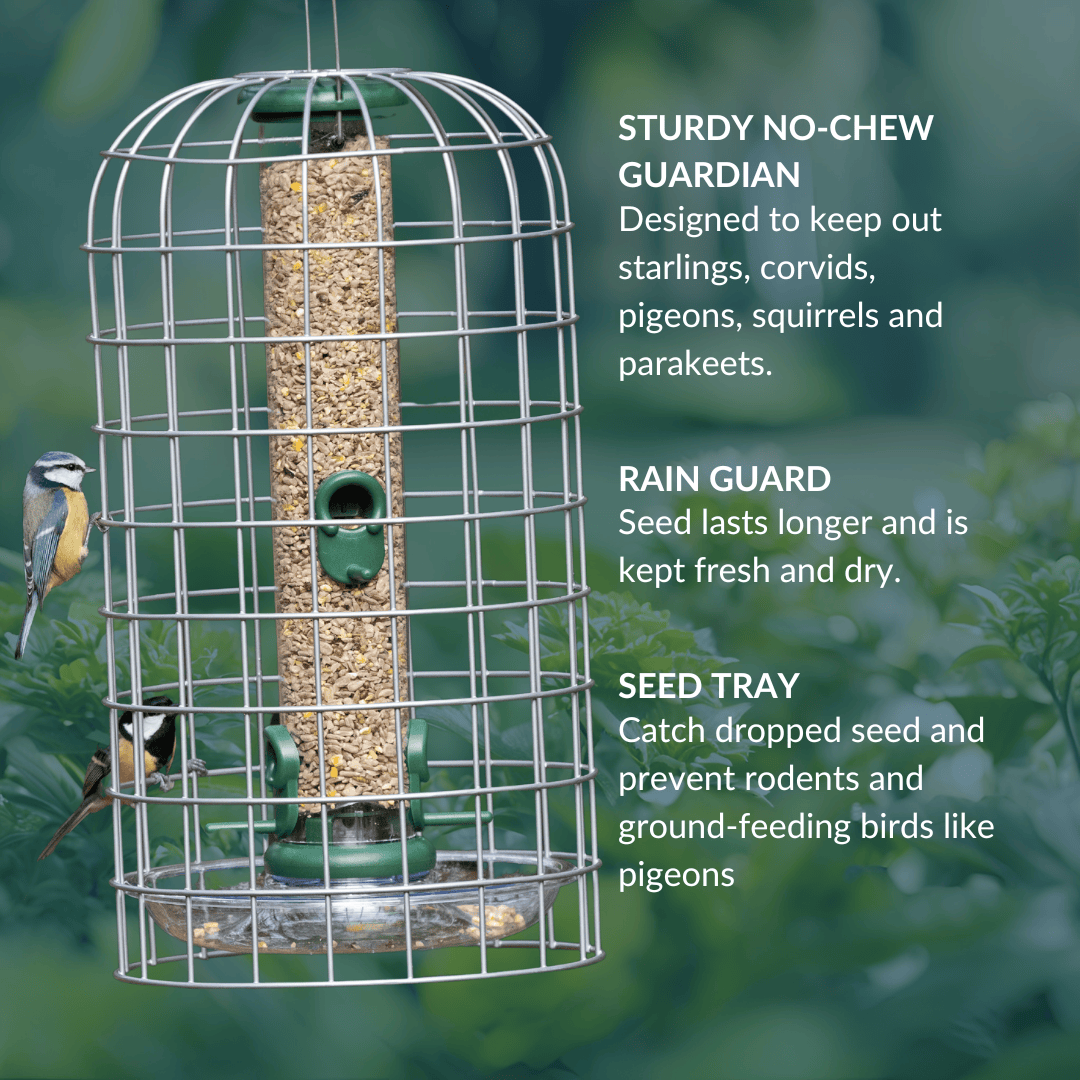 A metal bird feeder guardian cage from A Little Bird Co. with labels to explain the benefits.