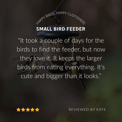 Little Lantern Seed Feeder
